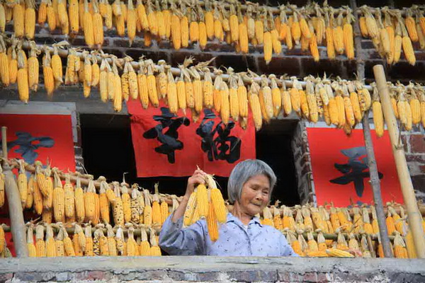 銅獎 黃建芳 曬“幸福”.JPG